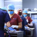 Habrá esterilizaciones gratuitas en el quirófano veterinario móvil