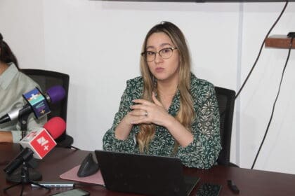 Próximo presidente encontrará un panorama oscuro en el tema económico