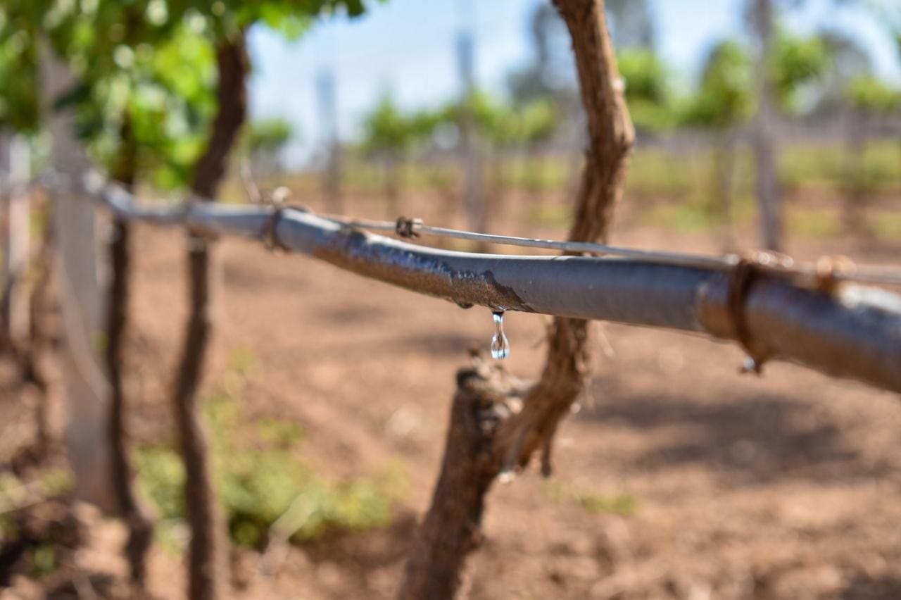 Convoca Tere a hacer frente común para mitigar la sequía