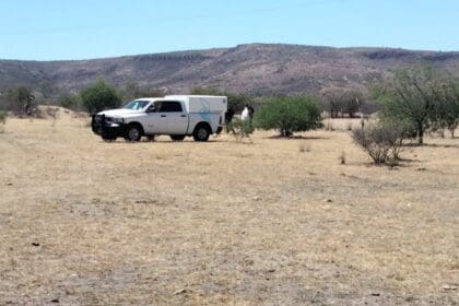 WhatsApp Image 2024 04 03 at 2.27.41 PM 1