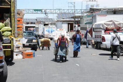 Mercado Agropecuario es pilar de la economía del Estado