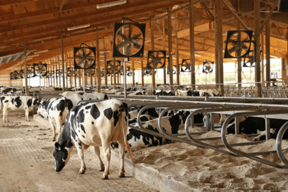 Sostienen reunión SADER y SEDRAE para buscar solución al problema de la leche