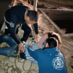 Rescatan a hombre que cayó en pileta de agua en Rincón de Romos