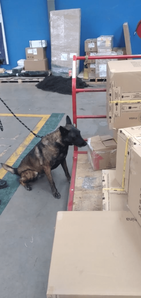 Detectan droga en el interior de envoltorio en una paquetería