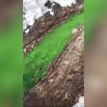 Río se tiñe de "color verde brillante" en Rusia