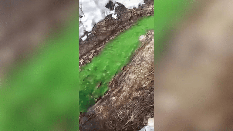 Río se tiñe de "color verde brillante" en Rusia