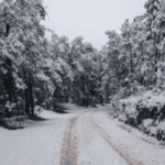 Nieve "pinta de blanco" 3 municipios de Chihuahua