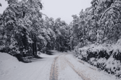 Nieve "pinta de blanco" 3 municipios de Chihuahua