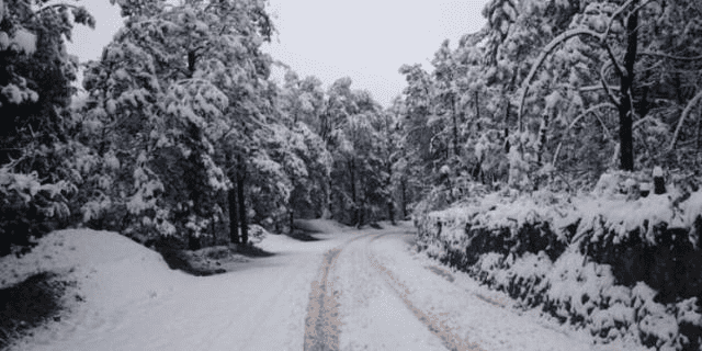 Nieve "pinta de blanco" 3 municipios de Chihuahua