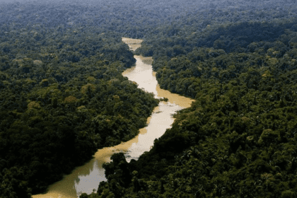Promueven cuatro iniciativas medioambientales en Perú para conservar la Amazonía