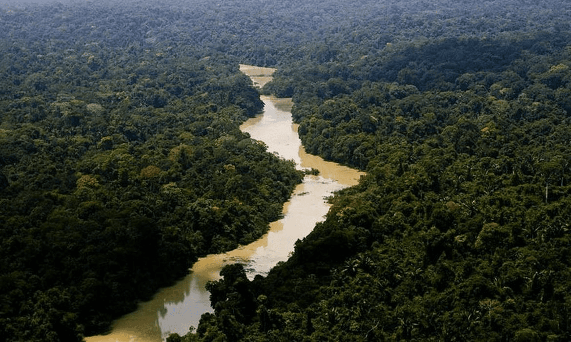 Promueven cuatro iniciativas medioambientales en Perú para conservar la Amazonía