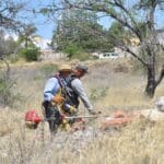 Trabaja la Semadesu en la prevención de incendios forestales