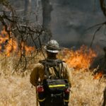 Proponen 25 años de cárcel para quien provoque incendios forestales