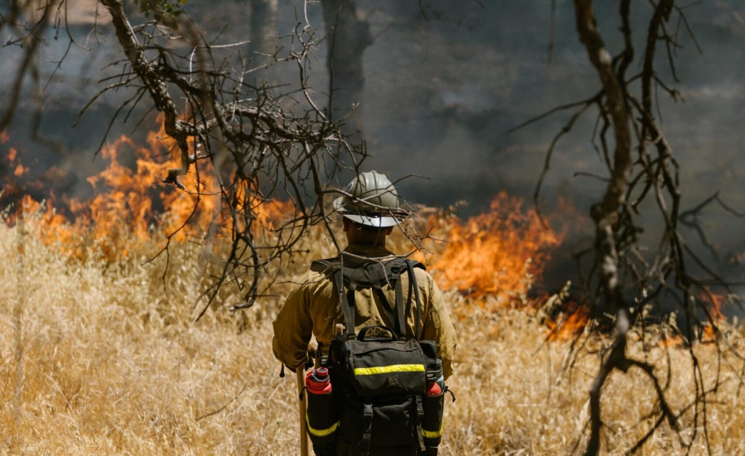 Proponen 25 años de cárcel para quien provoque incendios forestales