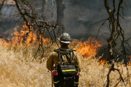 Proponen 25 años de cárcel para quien provoque incendios forestales