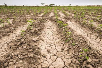 Aguascalientes se queda seco