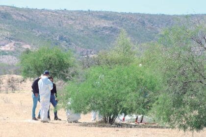 Ejecucion Predio Jesus Maria