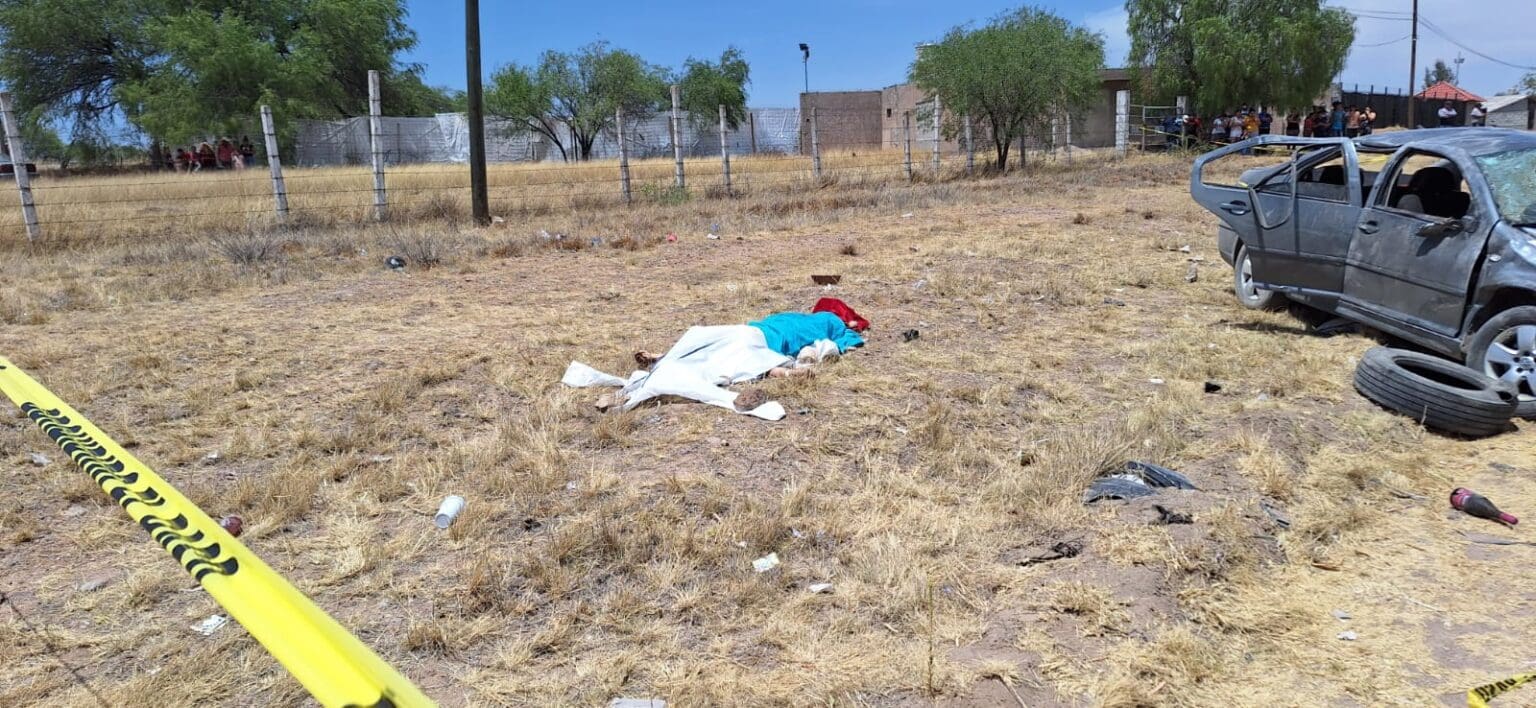 WhatsApp Image 2024 05 01 at 9.46.04 PM