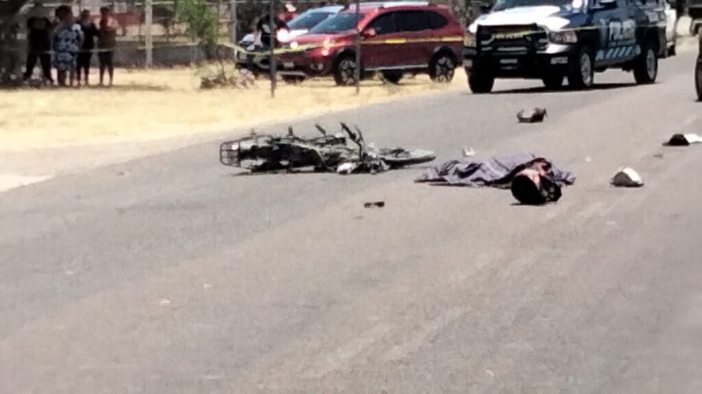 WhatsApp Image 2024 05 04 at 3.54.44 PM