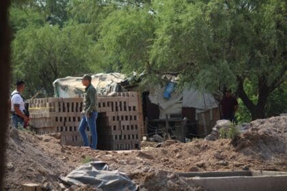 WhatsApp Image 2024 05 11 at 3.17.20 PM