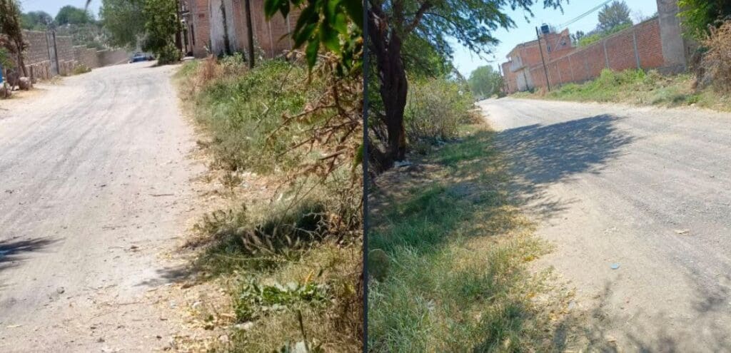 WhatsApp Image 2024 05 14 at 4.43.52 PM 1