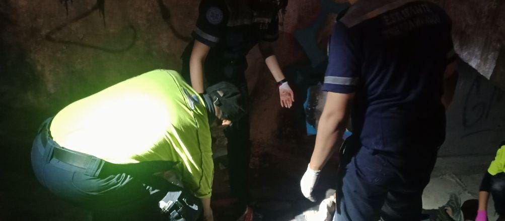 WhatsApp Image 2024 05 19 at 3.51.52 PM