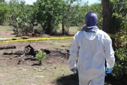 WhatsApp Image 2024 05 30 at 3.48.32 PM 1