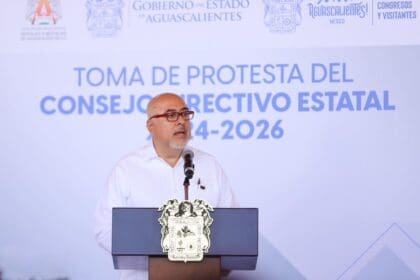 hoteleros proyectos maty