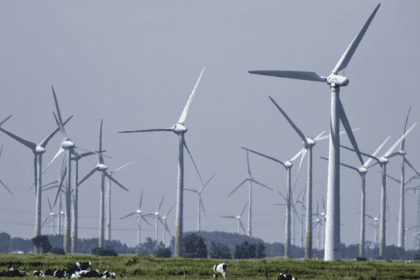 Piden empresas eólicas entrar al "quite" para evitar apagones