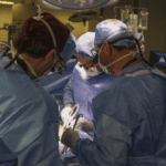 Fallece paciente que recibió primer trasplante de riñón de cerdo modificado genéticamente