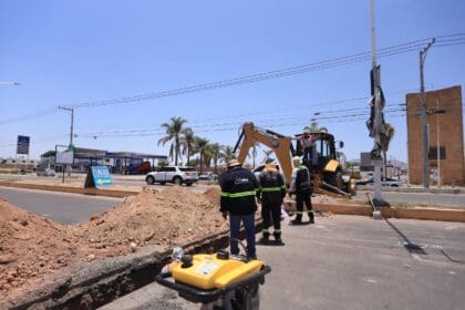 municipio 1 lily 1 1