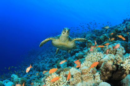 20240605 102757 0000