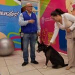 444484959 1012210346928834 7046090810554028053 n 2