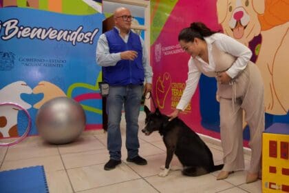 444484959 1012210346928834 7046090810554028053 n 3