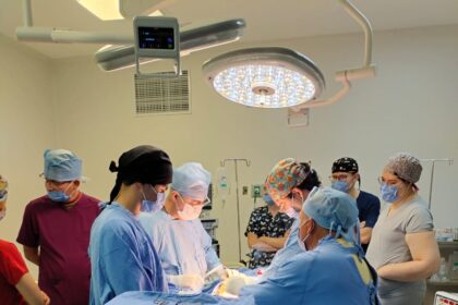 Faltan 01 e1718639537921