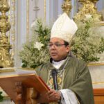 LLAMA 01 COLOR scaled e1719243516164