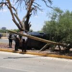 WhatsApp Image 2024 06 12 at 11.15.32 PM