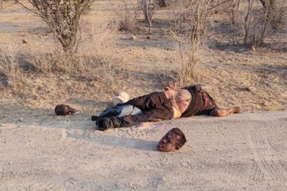 WhatsApp Image 2024 06 15 at 12.51.04 PM e1718477605580