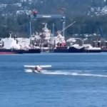 image 182 e1717894321759