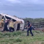 WhatsApp Image 2024 07 08 at 8.43.08 AM