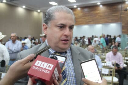 pie nota ciclo escolar