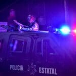 LLAMA BALAZOS 01 COLOR