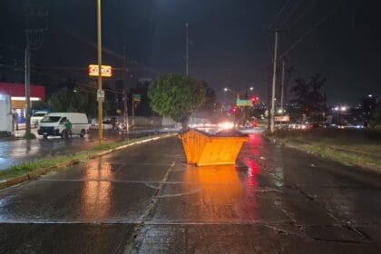 LLAMA LLUVIAS 05 COLOR