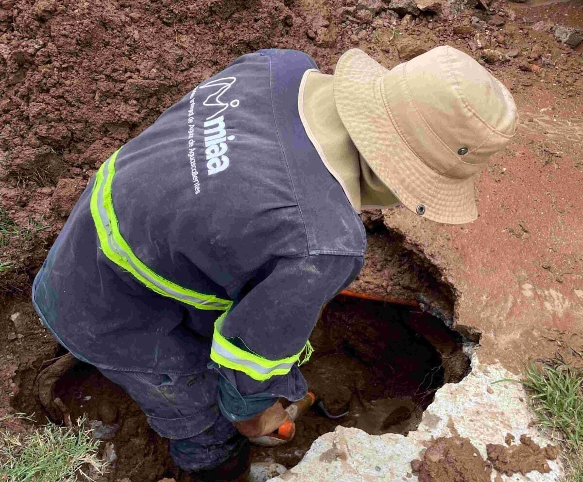 LRM MUNICIPIO 02 e1722612755506