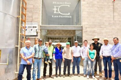 MAD TERE FORRAJES 01