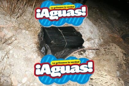 WhatsApp Image 2024 08 14 at 1.26.53 PM