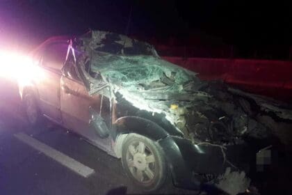 WhatsApp Image 2024 08 16 at 9.24.08 AM 2