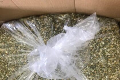 WhatsApp Image 2024 08 17 at 11.32.20 AM