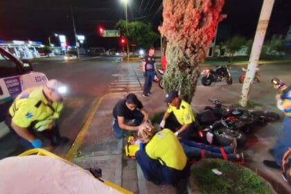 WhatsApp Image 2024 08 17 at 3.41.39 PM