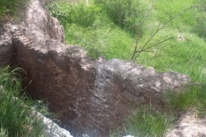 WhatsApp Image 2024 08 20 at 5.33.27 PM 1